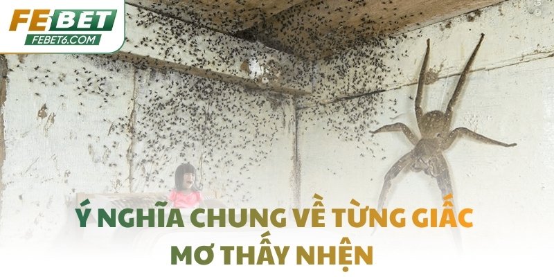 Ý nghĩa chung về từng giấc mơ thấy nhện 